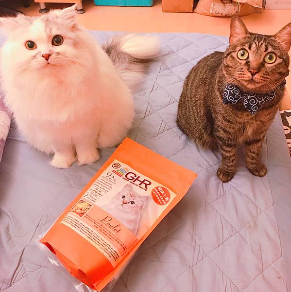 女人知己,女人知己試用大隊,試用大隊,GHR健康主義無穀貓糧,GHR健康主義,無穀貓糧,貓糧,放牧羊口味,鮮嫩雞肉口味