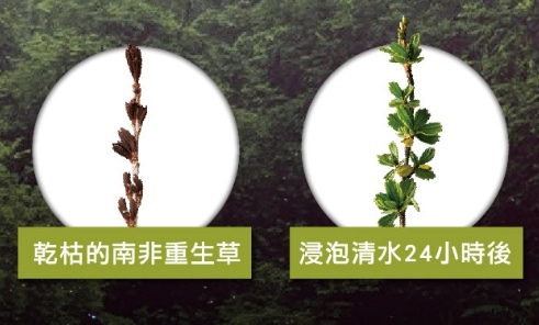 1578995523909 試用