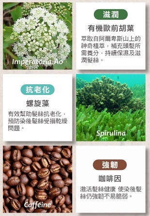 染髮成分 試用