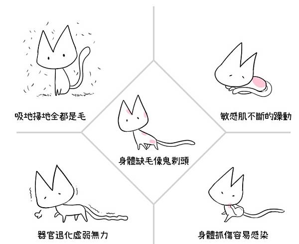 五大困擾 試用