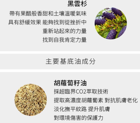 成分2 試用