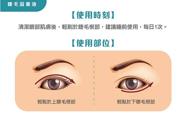 睫毛2 試用