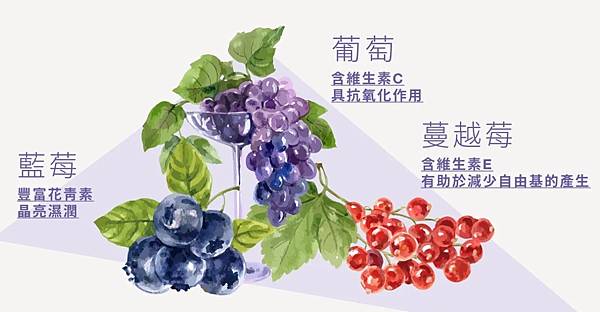 1634975922269 試用