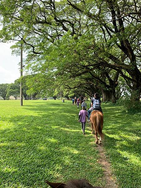 1012_191027_0021.jpg 1012_191027_0021.jpg