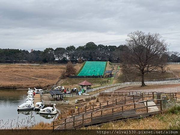 20191222東京第三天_200303_0179.jpg