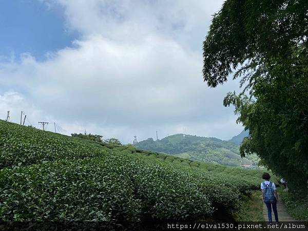 2020919太平雲梯、雲之南步道_210221_102.jpg