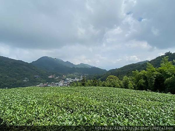 2020919太平雲梯、雲之南步道_210221_104.jpg