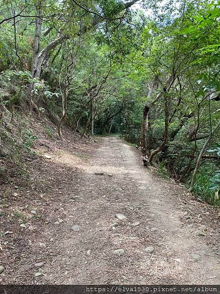 20200726田中森林公園登山步道_210801_96.jpg