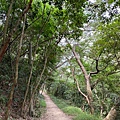 20200726田中森林公園登山步道_210801_92.jpg