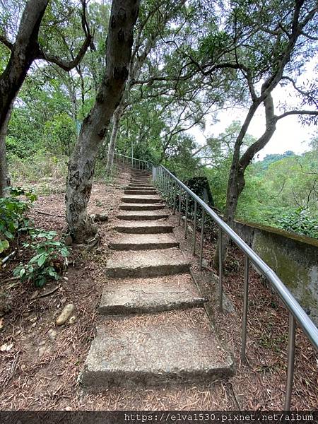 20200726田中森林公園登山步道_210801_87.jpg