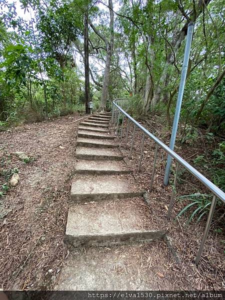 20200726田中森林公園登山步道_210801_84.jpg