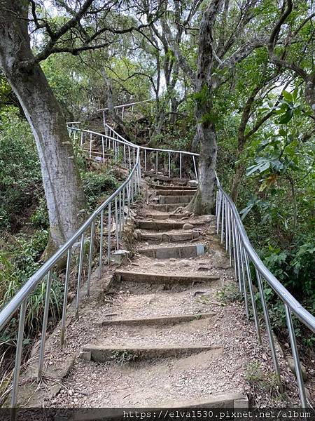 20200726田中森林公園登山步道_210801_78.jpg