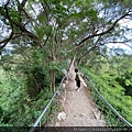 20200726田中森林公園登山步道_210801_77.jpg