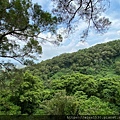 20200726田中森林公園登山步道_210801_74.jpg