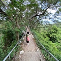 20200726田中森林公園登山步道_210801_72.jpg