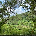 20200726田中森林公園登山步道_210801_71.jpg