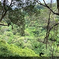 20200726田中森林公園登山步道_210801_66.jpg