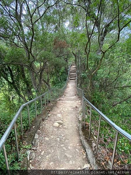 20200726田中森林公園登山步道_210801_70.jpg