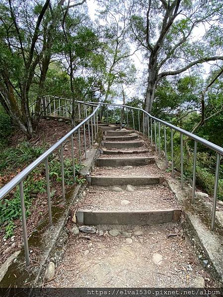 20200726田中森林公園登山步道_210801_69.jpg