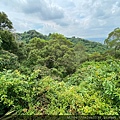 20200726田中森林公園登山步道_210801_64.jpg