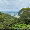 20200726田中森林公園登山步道_210801_63.jpg