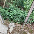 20200726田中森林公園登山步道_210801_59.jpg