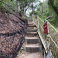 20200726田中森林公園登山步道_210801_55.jpg