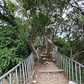 20200726田中森林公園登山步道_210801_53.jpg