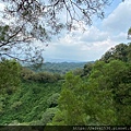 20200726田中森林公園登山步道_210801_44.jpg