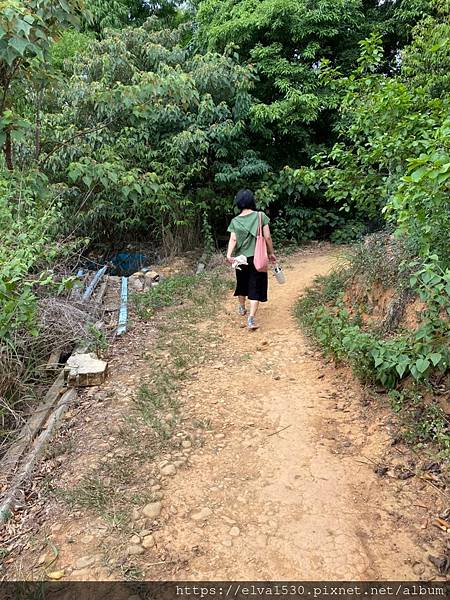 20200726田中森林公園登山步道_210801_41.jpg