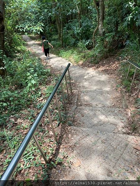 20200726田中森林公園登山步道_210801_15.jpg