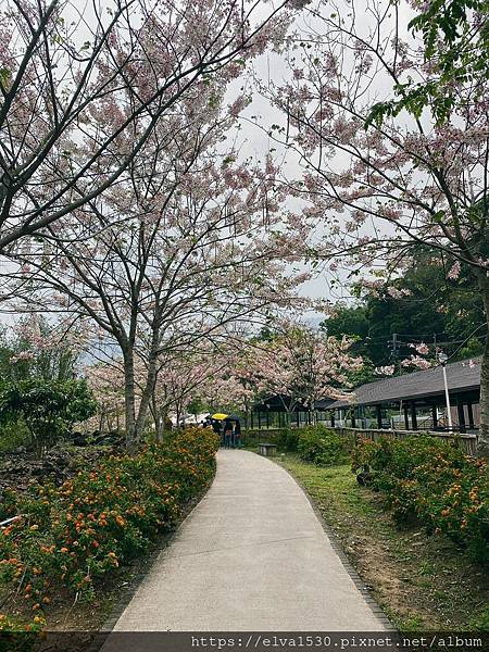 LINE_ALBUM_20220417寶來花賞溫泉公園_220417_52.jpg