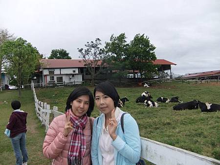 台東-1 台東-1