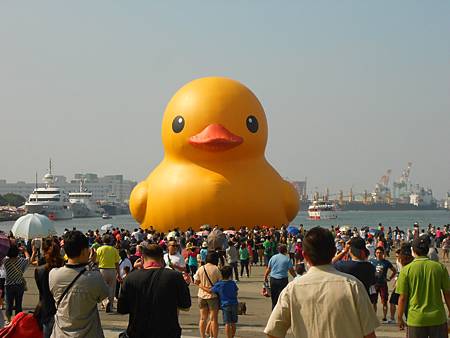 DSCN0528 DSCN0528