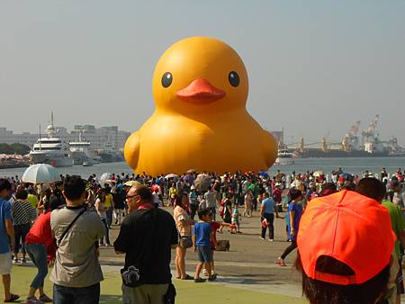 DSCN0529 DSCN0529