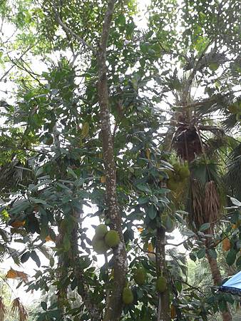 20150424_094737 20150424_094737