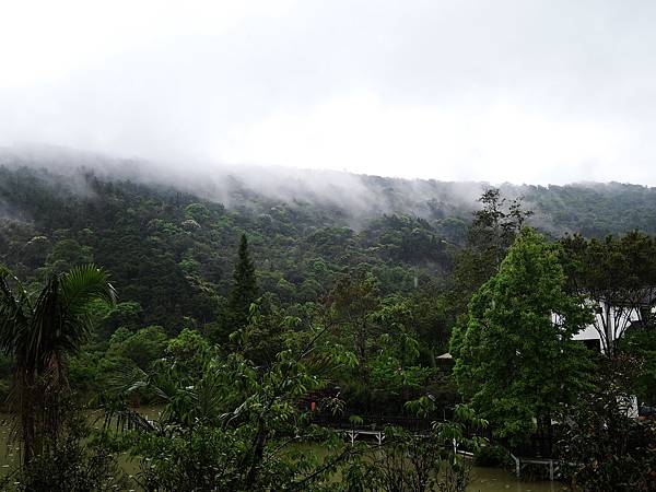DSCN1528 DSCN1528