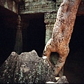 Ta Prohm - 樹被刻字好可憐