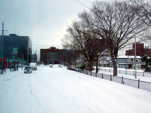 出發囉！昨晚飄了一夜的雪，車道是一片的白