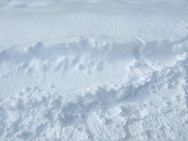 大家都說北海道的雪質最棒，因為它是粉雪，細緻程度就像粉末一樣