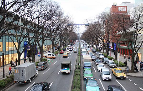 冬天的整排表參道路樹全都光溜溜的