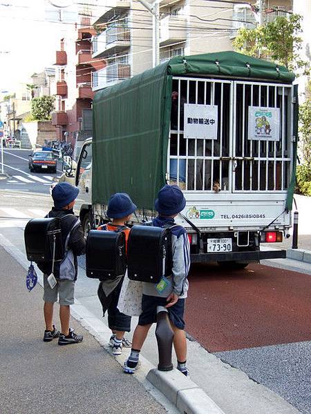 這幕很Q 原本打打鬧鬧的小朋友 看到車上小狗不約而同安靜下來