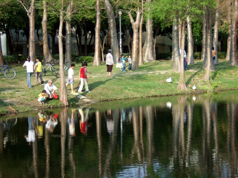 巴克禮公園一到假日都是人，這裡的樹幹異常光滑，晚上看超詭異