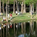 巴克禮公園一到假日都是人，這裡的樹幹異常光滑，晚上看超詭異