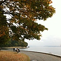 Stanley Park