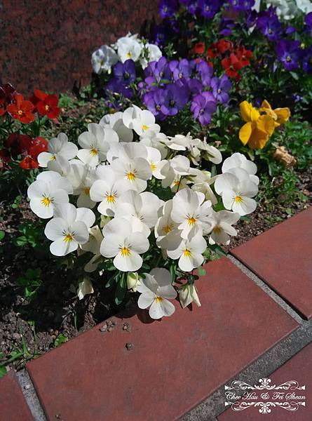 IMG_20160521_131055.jpg IMG_20160521_131055.jpg