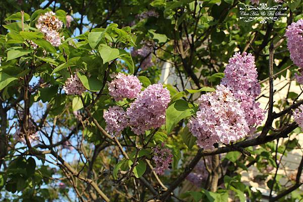 IMG_6162.jpg IMG_6162.jpg