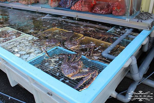 IMG_6187.jpg IMG_6187.jpg