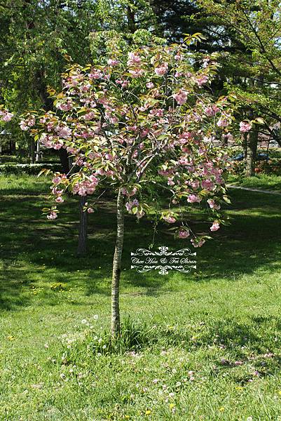 IMG_6197.jpg IMG_6197.jpg