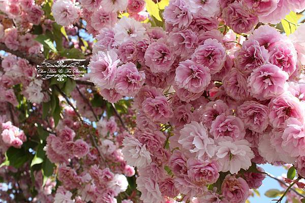 IMG_6210.jpg IMG_6210.jpg